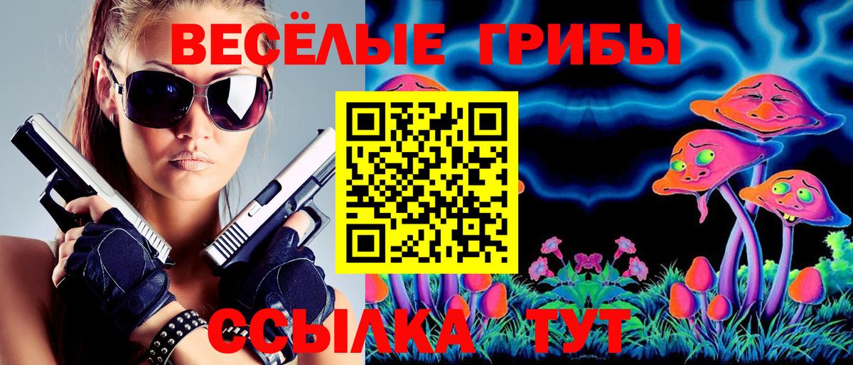 Галлюциногенные грибы GOLDEN TEACHER Урюпинск